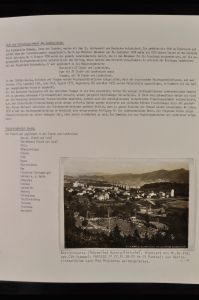 Lot 5363